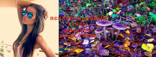 спайс Михайловск