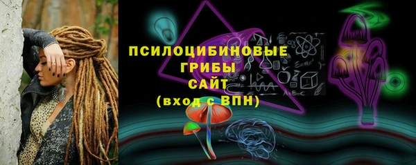 МДПВ Михайлов