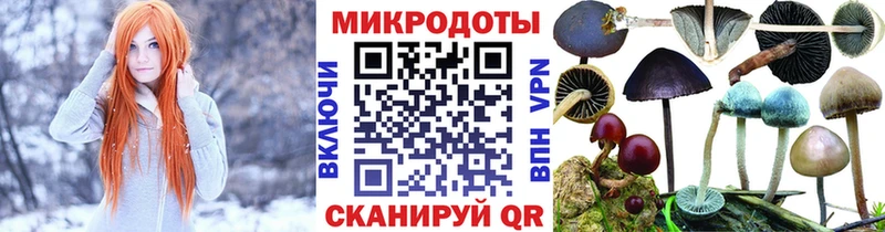 Псилоцибиновые грибы GOLDEN TEACHER  Холм 